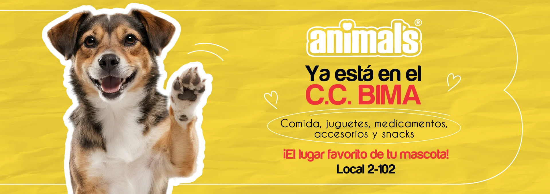 jul 2026 banner web animals desktop (1)
