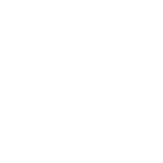 auto market