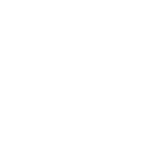 autonet