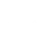 autonet