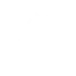 beef grill