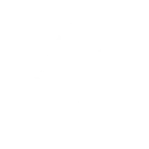 Beef Grill