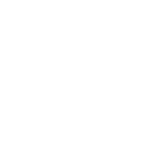 desigual