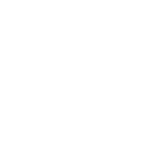 Arte y Diseño
