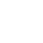 wiseman