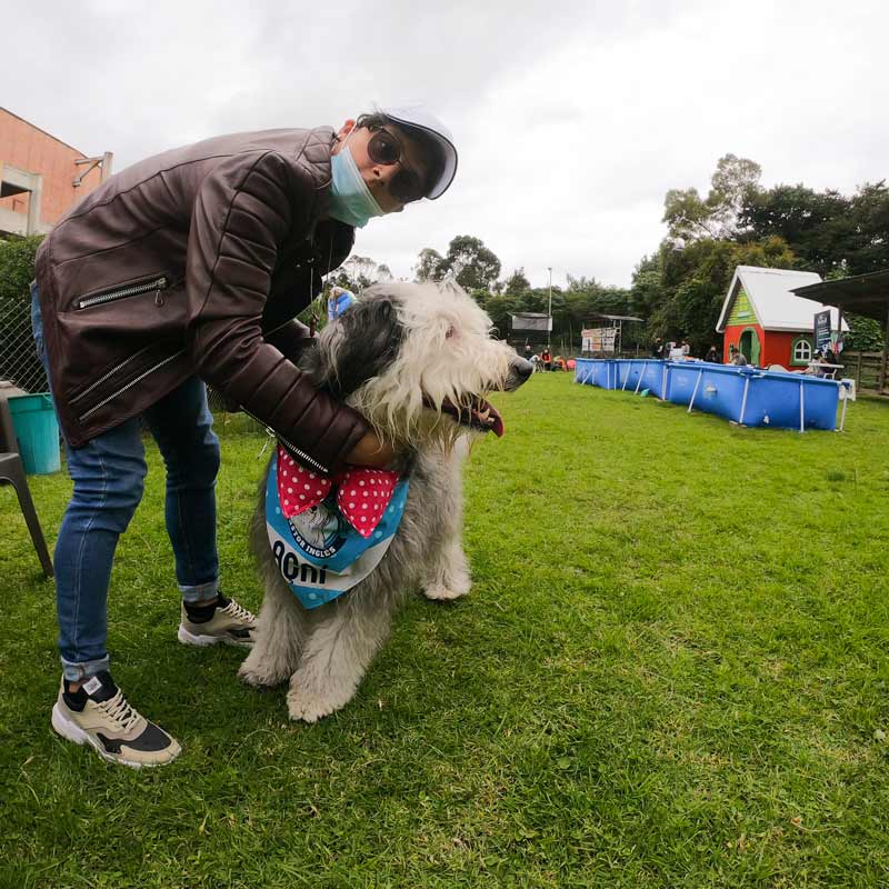 Actividad especial para mascotas en Bima