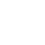 auto market