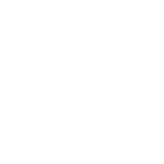 autonet