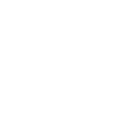 beef grill