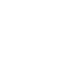 desigual